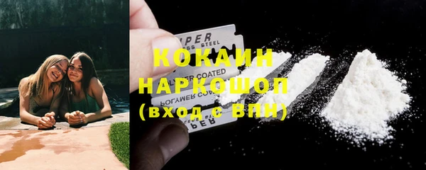 прущие грибы Магадан
