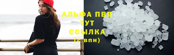 прущие грибы Магадан