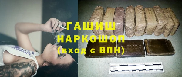 прущие грибы Магадан