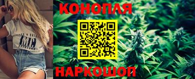 гидропоника Кимры