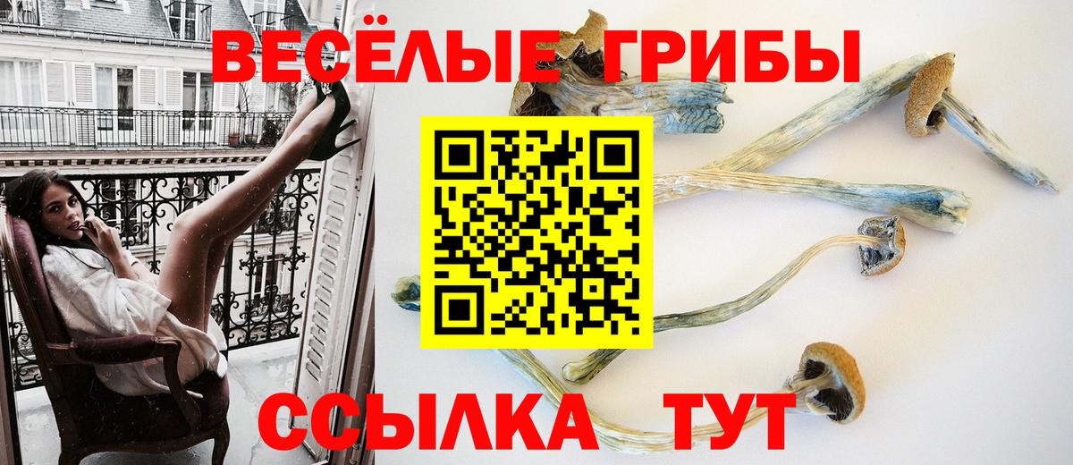 Псилоцибиновые грибы MAGIC MUSHROOMS  Вход с VPN  Сокол 